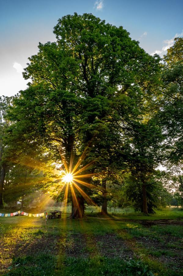 Biorezydencja Świeradów-Zdrój Exteriér fotografie