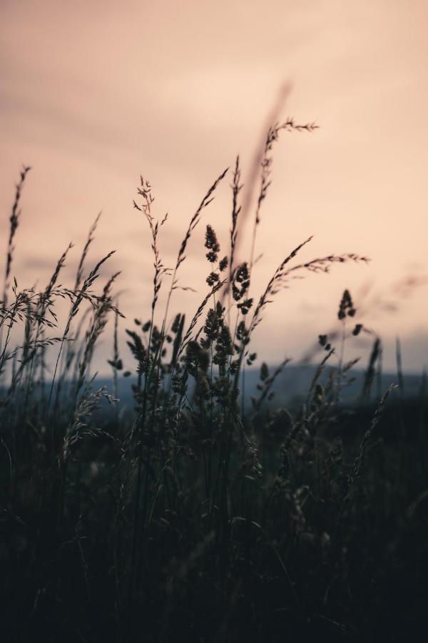 Biorezydencja Świeradów-Zdrój Exteriér fotografie