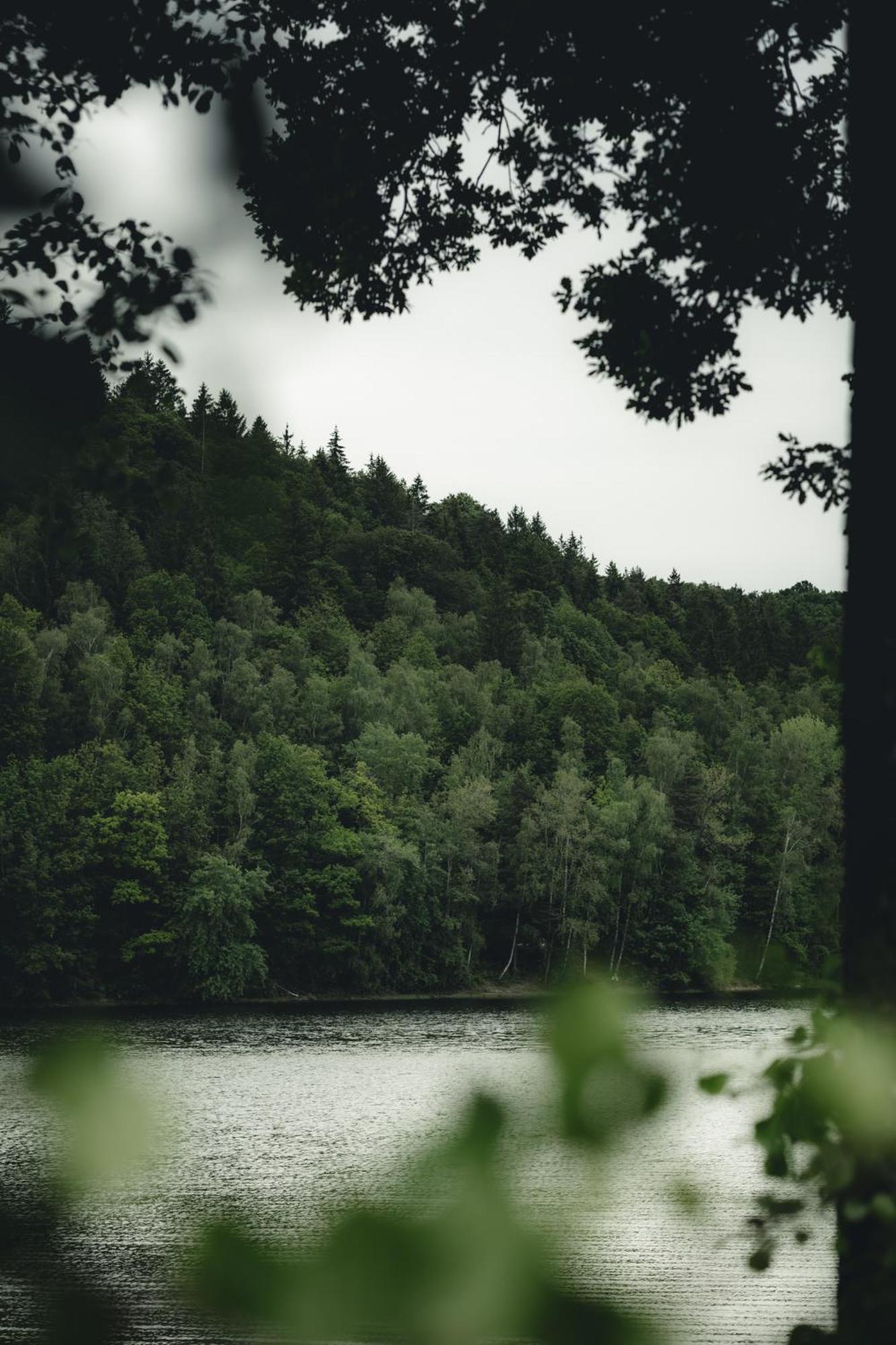 Biorezydencja Świeradów-Zdrój Exteriér fotografie